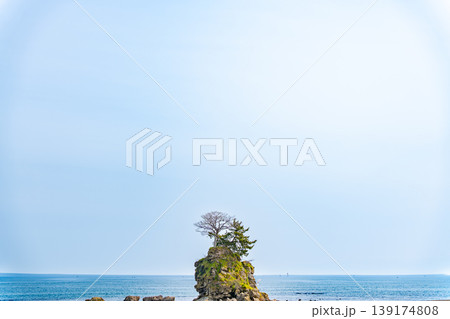 海に浮かぶ一本の木 海に浮かぶ一本の木 139174808