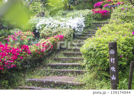 新緑・初夏の打吹公園 139174844