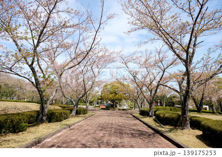 岐阜県養老郡養老町_養老公園9_2025年4月 岐阜県養老郡養老町_養老公園9_2025年4月 139175253