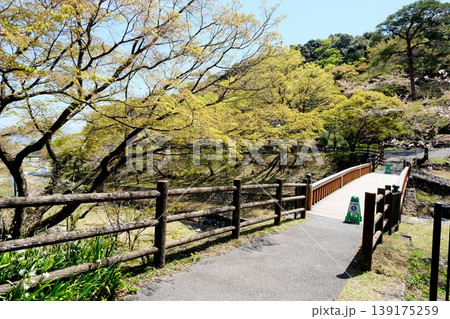 岐阜県養老郡養老町_養老公園16_2025年4月 岐阜県養老郡養老町_養老公園16_2025年4月 139175259