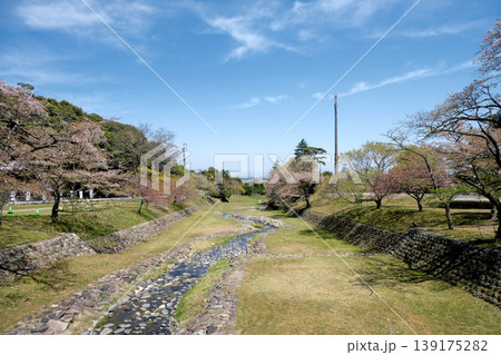 岐阜県養老郡養老町_養老公園39_2025年4月 岐阜県養老郡養老町_養老公園39_2025年4月 139175282