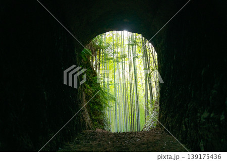 三重県　尾鷲市　土井竹林　洞窟の先にある竹林のイメージ 139175436