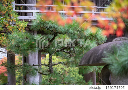 秋の紅葉に彩られた静かな日本庭園と寺院のイメージ 秋の紅葉に彩られた静かな日本庭園と寺院のイメージ 139175705