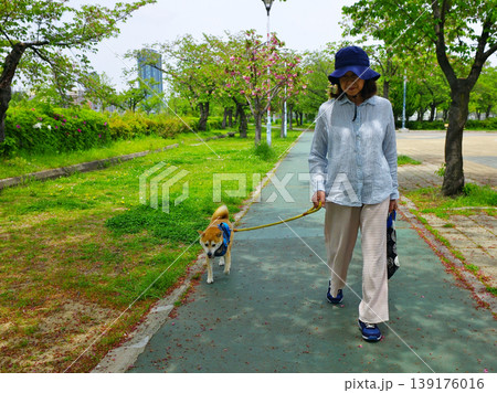 ペットライフ 柴犬と一緒にお散歩 ペットライフ 柴犬と一緒にお散歩 139176016