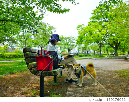 ペットライフ　柴犬と一緒にお散歩 139176021