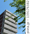 青空をバックにした新緑の緑とマンション 139176382