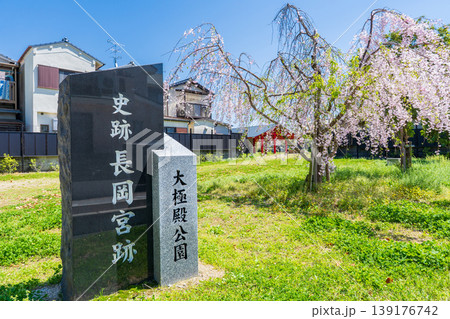 京都府向日市 長岡宮跡 大極殿公園入口の石碑としだれ桜 京都府向日市 長岡宮跡 大極殿公園入口の石碑としだれ桜 139176742