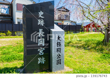 京都府向日市　長岡宮跡　大極殿公園入口の石碑としだれ桜 139176743