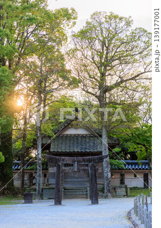 初夏の唐津城 金刀比羅神社と夕日 佐賀県唐津市 初夏の唐津城 金刀比羅神社と夕日 佐賀県唐津市 139177001