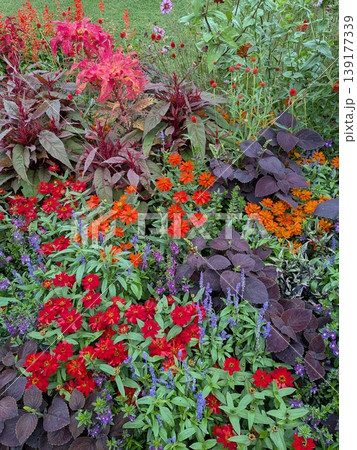春の花々 139177339