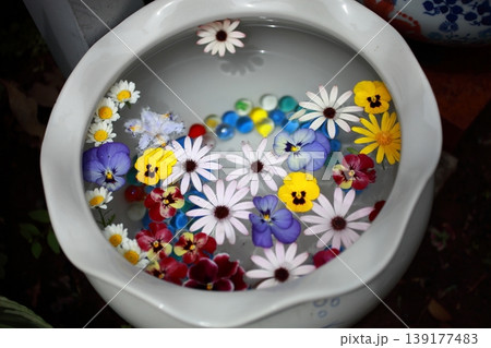 水鉢の花畑 139177483