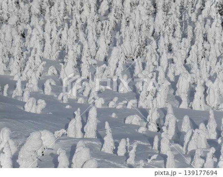樹氷　霧氷　蔵王 139177694