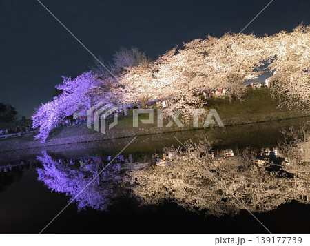 桜 139177739