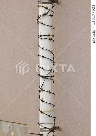 登り厳禁 登り厳禁 139177921