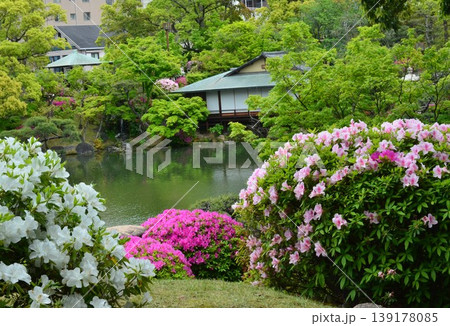 日本庭園とつつじ 日本庭園とつつじ 139178085