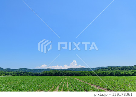道東 弟子屈の広大な農場 道東 弟子屈の広大な農場 139178361