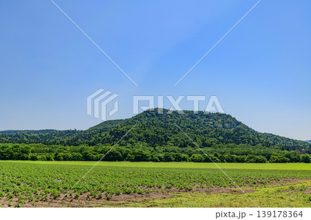 道東 弟子屈の広大な農場 道東 弟子屈の広大な農場 139178364