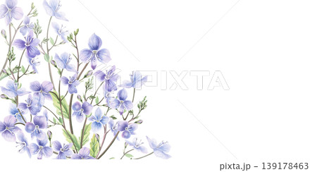 A rectangular corner frame of delicate violet-blue forest flowers. This hand-drawn watercolor illustration is perfect for cards, textiles, weddings, nature websites, and eco-themed designs. A rectangular corner frame of delicate violet-blue forest flowers. This hand-drawn watercolor illustration is perfect for cards, textiles, weddings, nature websites, and eco-themed designs. 139178463