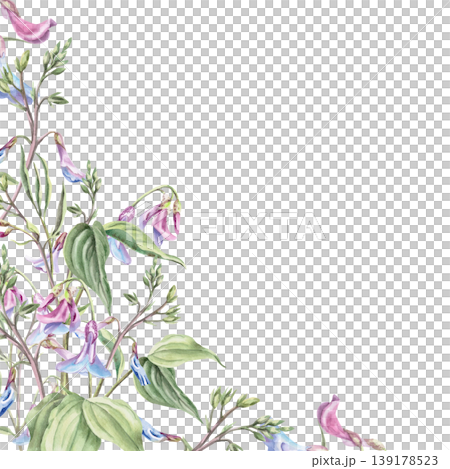 A corner frame of wild lilac-blue forest flowers called mouse peas. Watercolor illustration for design for cards, textiles, weddings, nature websites, and eco-themed designs. A corner frame of wild lilac-blue forest flowers called mouse peas. Watercolor illustration for design for cards, textiles, weddings, nature websites, and eco-themed designs. 139178523