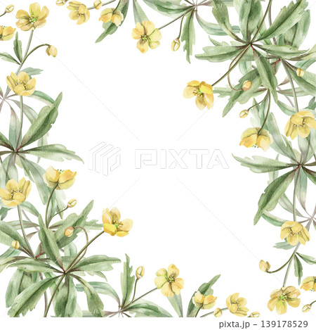 A square frame of wild yellow forest flowers. This hand-drawn watercolor illustration is perfect for cards, textiles, weddings, nature websites, and eco-themed designs. A square frame of wild yellow forest flowers. This hand-drawn watercolor illustration is perfect for cards, textiles, weddings, nature websites, and eco-themed designs. 139178529