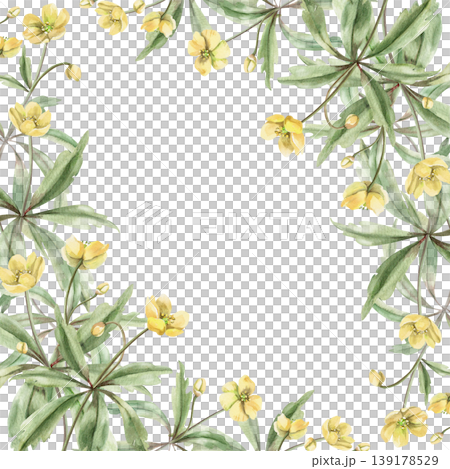 A square frame of wild yellow forest flowers. This hand-drawn watercolor illustration is perfect for cards, textiles, weddings, nature websites, and eco-themed designs. A square frame of wild yellow forest flowers. This hand-drawn watercolor illustration is perfect for cards, textiles, weddings, nature websites, and eco-themed designs. 139178529