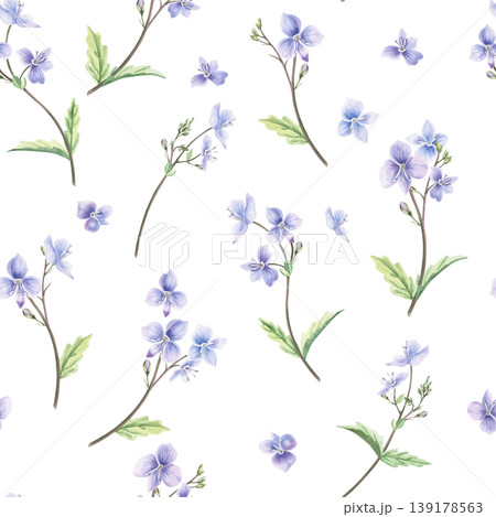 A seamless pattern with wild forget-me-not flowers and carved leaves. This hand-drawn watercolor illustration is perfect for card designs, textiles, weddings, nature websites, and eco-themed designs. 139178563