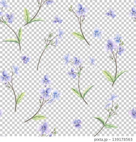 A seamless pattern with wild forget-me-not flowers and carved leaves. This hand-drawn watercolor illustration is perfect for card designs, textiles, weddings, nature websites, and eco-themed designs. 139178563