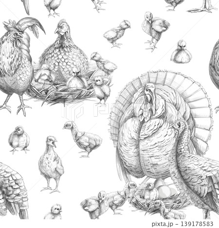 A seamless pattern featuring a family of turkeys and chickens. This pencil illustration is perfect for interior design, restaurants, and labels related to livestock, agriculture, and poultry farming. 139178583