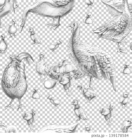 A seamless poultry yard pattern featuring turkeys, ducks, a rooster, and chickens. This pencil illustration is suitable for livestock, farming, agriculture, poultry, menus, restaurants, and labels. A seamless poultry yard pattern featuring turkeys, ducks, a rooster, and chickens. This pencil illustration is suitable for livestock, farming, agriculture, poultry, menus, restaurants, and labels. 139178584