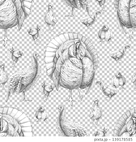 A seamless pattern with a turkey, a hen, and turkey poults. This pencil illustration is suitable for designs in the fields of livestock farming, agriculture, poultry, menus, restaurants, and labels. A seamless pattern with a turkey, a hen, and turkey poults. This pencil illustration is suitable for designs in the fields of livestock farming, agriculture, poultry, menus, restaurants, and labels. 139178585