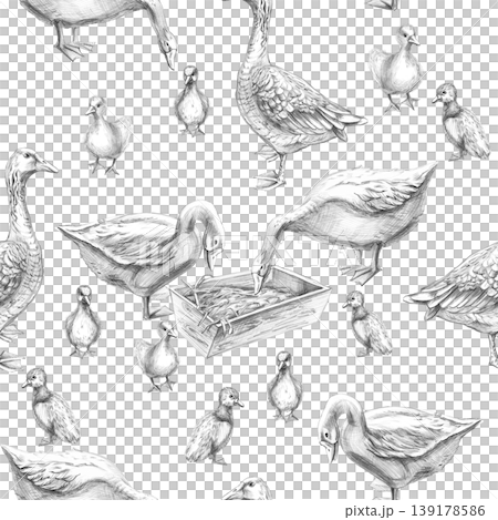 A seamless pattern with geese and goslings drawn in pencil. This isolated illustration is suitable for designs in the fields of livestock farming, agriculture, poultry, menus, restaurants, and labels. A seamless pattern with geese and goslings drawn in pencil. This isolated illustration is suitable for designs in the fields of livestock farming, agriculture, poultry, menus, restaurants, and labels. 139178586