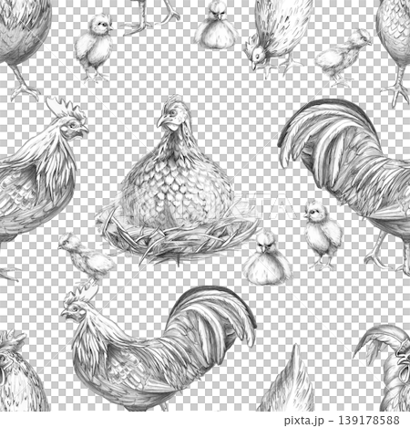 A seamless pencil pattern with a hen, chicks, and a rooster. This illustration is suitable for designs in the fields of livestock farming, agriculture, poultry, menus, restaurants, and labels. 139178588