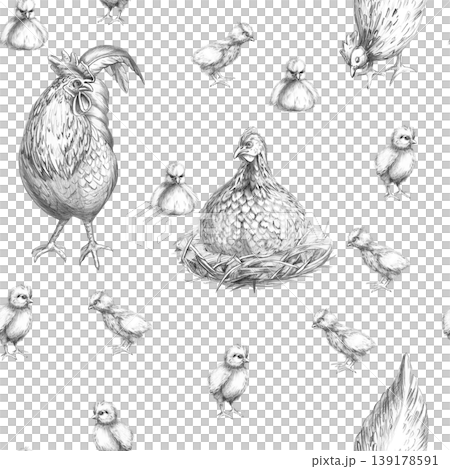 A seamless pencil pattern with a rooster, hens, and chicks. This isolated illustration is suitable for livestock, farming, agriculture, poultry, menus, restaurants, and labels. A seamless pencil pattern with a rooster, hens, and chicks. This isolated illustration is suitable for livestock, farming, agriculture, poultry, menus, restaurants, and labels. 139178591