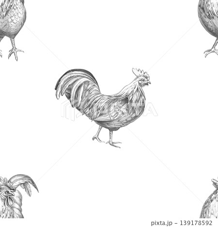 A seamless pattern featuring an elegant rooster, drawn in pencil. The illustration is suitable for designs in the fields of livestock, farming, agriculture, poultry, menus, restaurants, and labels. A seamless pattern featuring an elegant rooster, drawn in pencil. The illustration is suitable for designs in the fields of livestock, farming, agriculture, poultry, menus, restaurants, and labels. 139178592