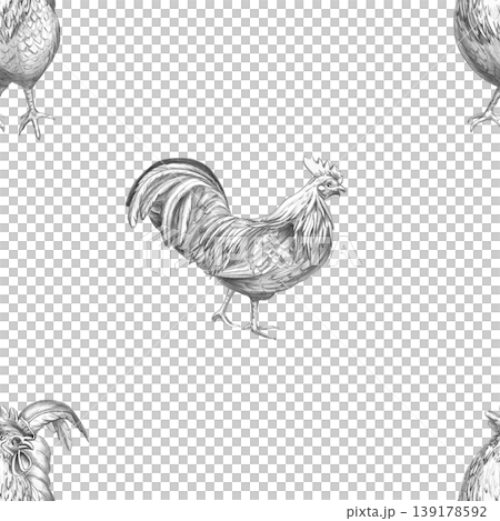 A seamless pattern featuring an elegant rooster, drawn in pencil. The illustration is suitable for designs in the fields of livestock, farming, agriculture, poultry, menus, restaurants, and labels. A seamless pattern featuring an elegant rooster, drawn in pencil. The illustration is suitable for designs in the fields of livestock, farming, agriculture, poultry, menus, restaurants, and labels. 139178592