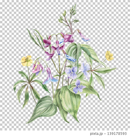 A bouquet of yellow, lilac, and blue spring forest flowers. This isolated watercolor illustration is suitable for designs in the fields of botany, gardening, nature, cosmetics, and interior design. A bouquet of yellow, lilac, and blue spring forest flowers. This isolated watercolor illustration is suitable for designs in the fields of botany, gardening, nature, cosmetics, and interior design. 139178593