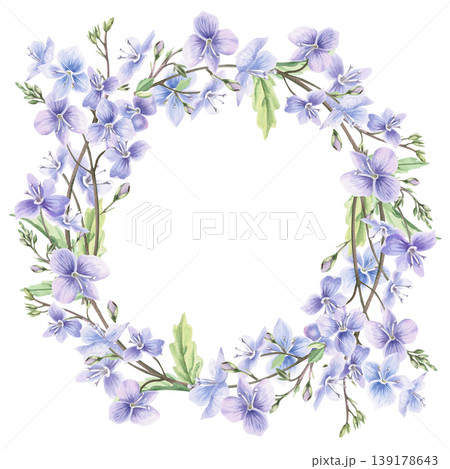 A wreath of delicate bouquets of wild forest forget-me-not flowers and leaves. This isolated watercolor illustration is perfect for postcards, textiles, nature websites, and eco-themed designs. A wreath of delicate bouquets of wild forest forget-me-not flowers and leaves. This isolated watercolor illustration is perfect for postcards, textiles, nature websites, and eco-themed designs. 139178643
