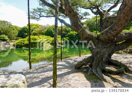 香川県高松市の特別名勝・栗林公園（2026年4月撮影） 139178834
