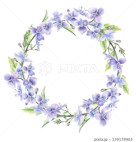 A wreath of delicate flowers and leaves of wild forest forget-me-nots. This isolated watercolor illustration is perfect for postcards, textiles, nature websites, and eco-themed designs. A wreath of delicate flowers and leaves of wild forest forget-me-nots. This isolated watercolor illustration is perfect for postcards, textiles, nature websites, and eco-themed designs. 139178903