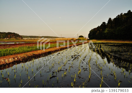 茨城県ひたちなか市ののどかな水田風景 茨城県ひたちなか市ののどかな水田風景 139179033