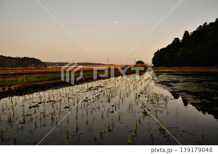 茨城県ひたちなか市ののどかな水田風景 茨城県ひたちなか市ののどかな水田風景 139179048