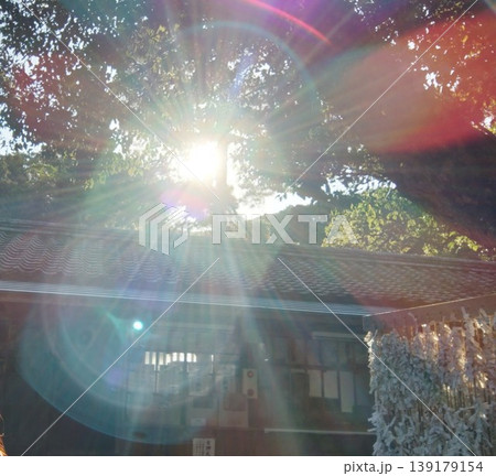 太陽 139179154