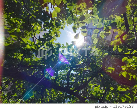 太陽 太陽 139179155