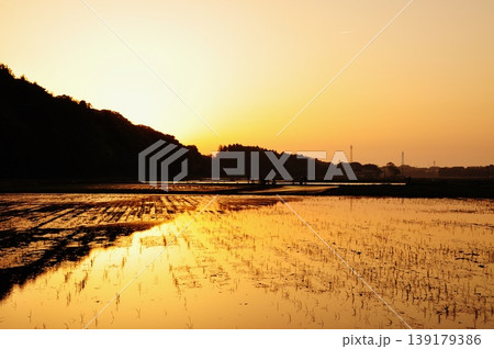茨城県ひたちなか市ののどかな水田風景 茨城県ひたちなか市ののどかな水田風景 139179386