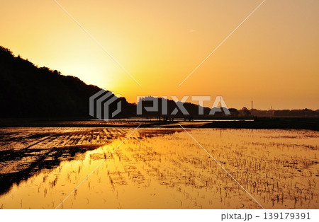 茨城県ひたちなか市ののどかな水田風景 茨城県ひたちなか市ののどかな水田風景 139179391