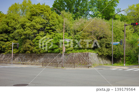春の京都御所、寺町丸太町交差点 春の京都御所、寺町丸太町交差点 139179564