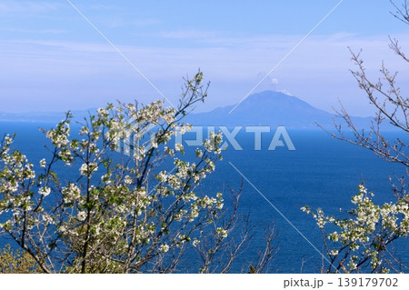 魚見岳展望台からの眺望・桜島（鹿児島県・指宿市） 139179702