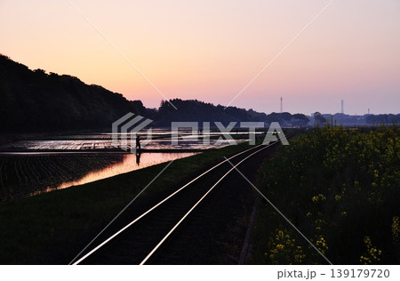 茨城県ひたちなか市ののどかな水田風景 茨城県ひたちなか市ののどかな水田風景 139179720