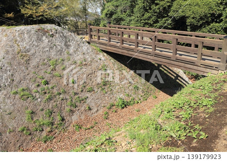 埼玉県寄居町の鉢形城公園 139179923