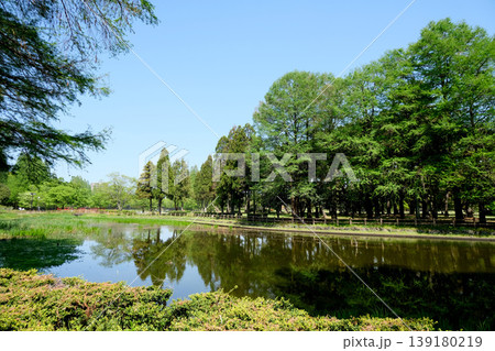 愛知県名古屋市西区_庄内緑地40_2025年4月 愛知県名古屋市西区_庄内緑地40_2025年4月 139180219